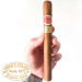 Charuto Romeo y Julieta Churchills maceio, Charuto Romeo y Julieta Churchills alagoas